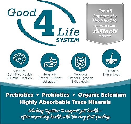 Miniatura 2 de NutriSource Alimento para perros adultos, hecho con pollo y arroz, con granos saludables, 15 libras, alimento seco para perros