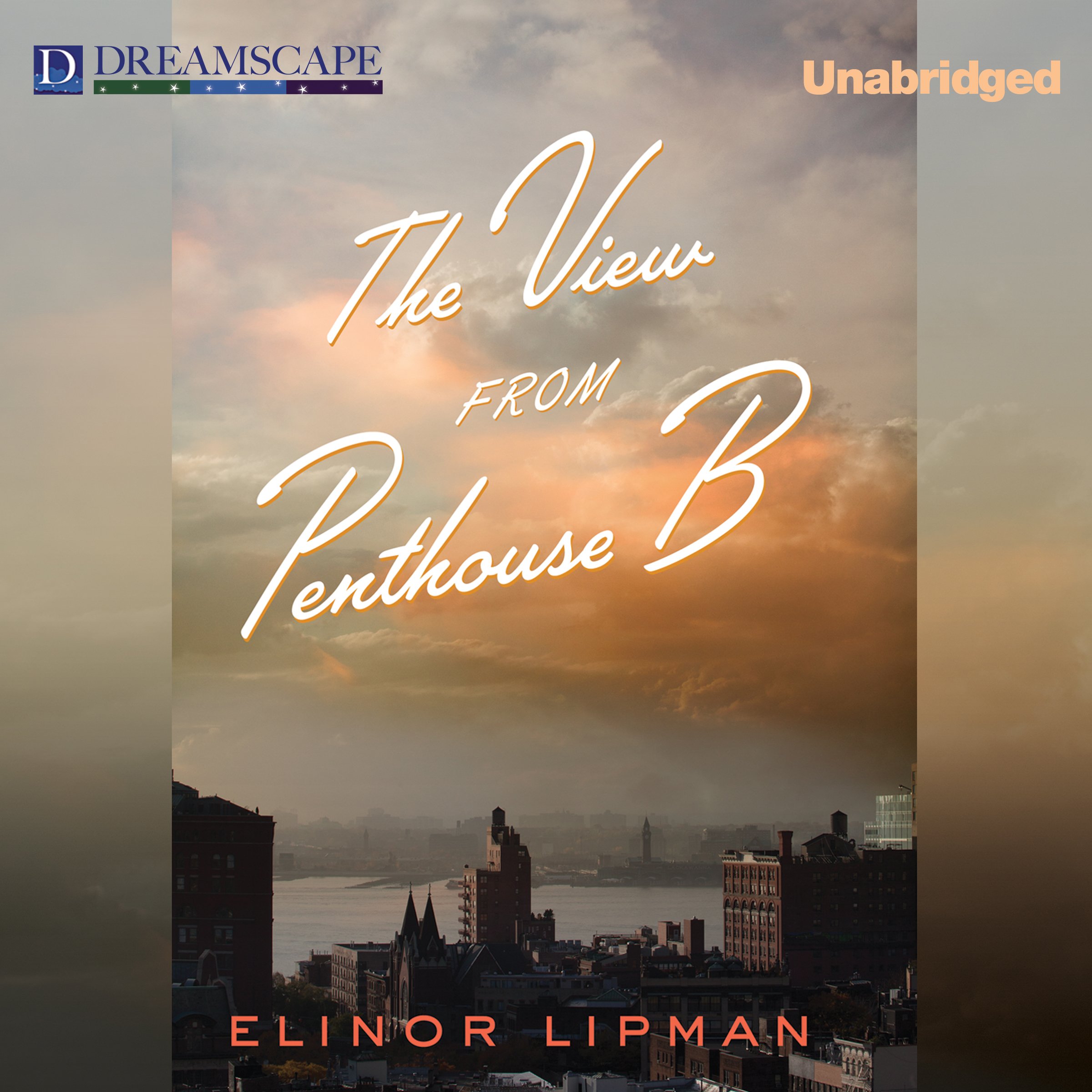 Cover art for The View from Penthouse B