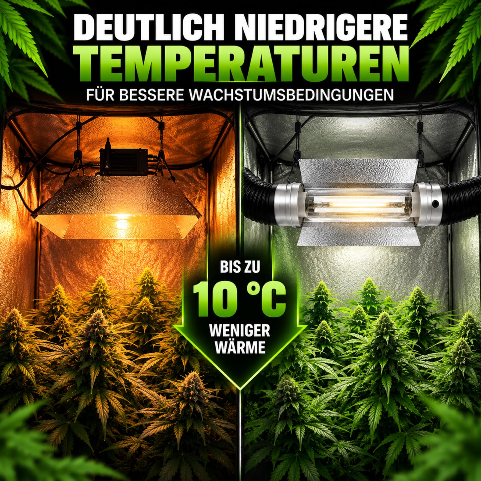 Weedness Cooltube Réflecteur Croissance 150 mm Flasque 59 cm Long - Lampe Éclairage NDL & MHL E40 Douille Lampes Verre 600w Plantes
