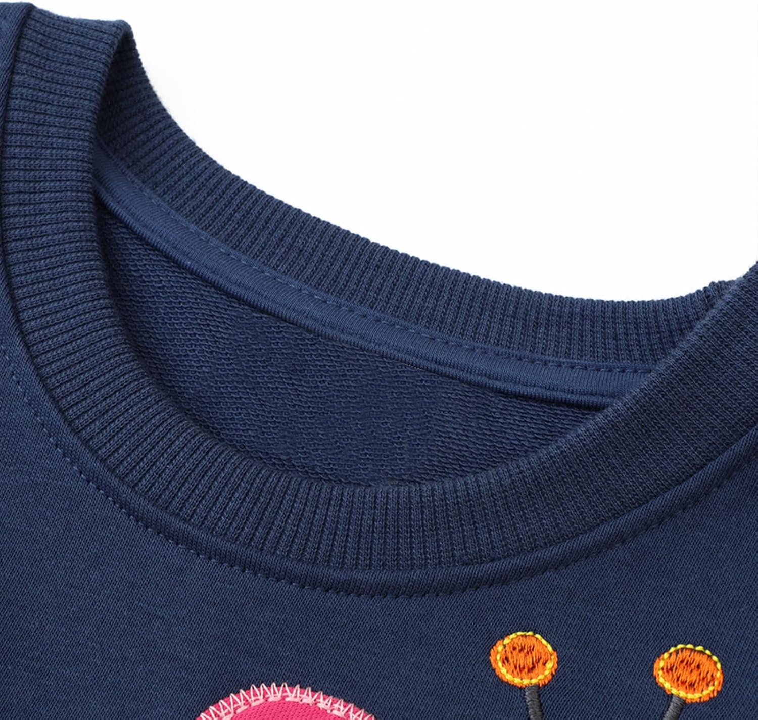 Toddler Sweatshirt Girls Long Sleeve Shirts Casual Kids Cotton Graphic Fall Winter Pullover Tee Tops Blouse