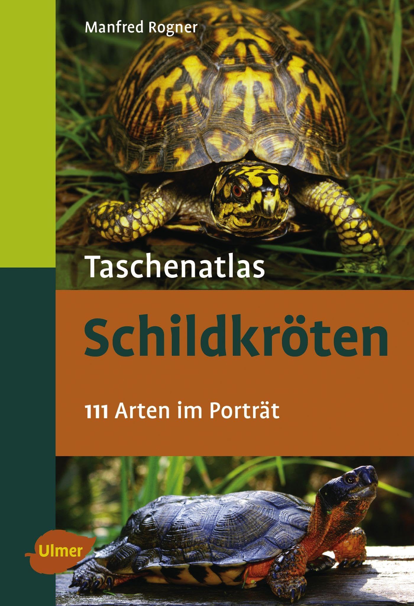 Taschenatlas Schildkröten: 111 Arten im Porträt