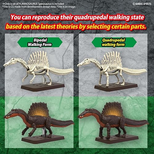 Miniatura 6 de Bandai Hobby - Plannosaurus - #05 Spinosaurus, Kit de modelo de dinosaurio Bandai Spirits