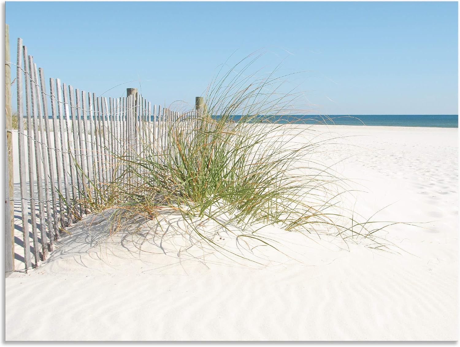 ARTland Wall Decoration Wall Picture Aluminium Composite Panel for Indoor and Outdoor Picture Beach Sea Coast Sand Dune Grasses Maritime T5MA