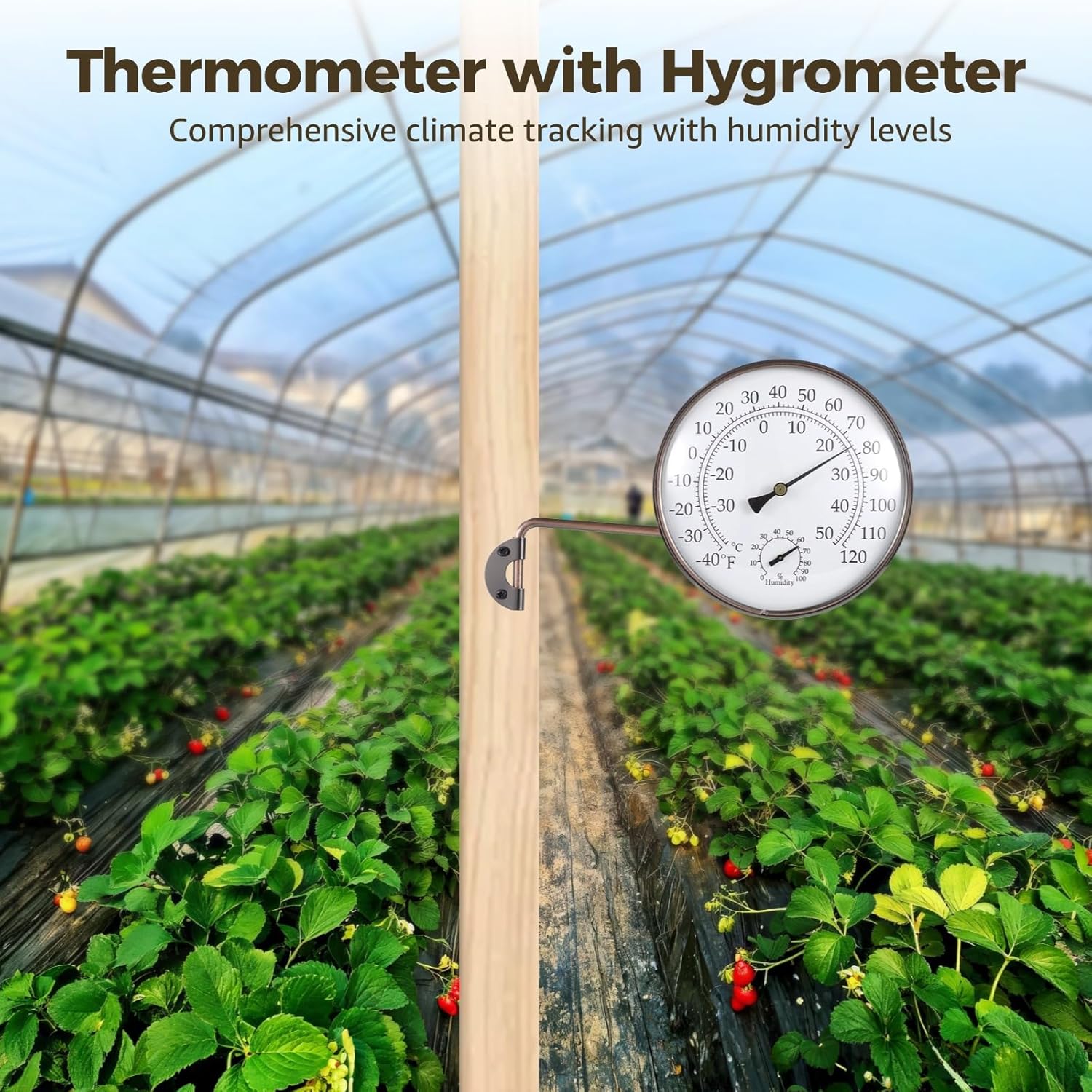 6 Inch Outdoor Thermometer with Hygrometer, Antique Copper Finish, Dual Scale -40°F to 120°F, Wall Mount