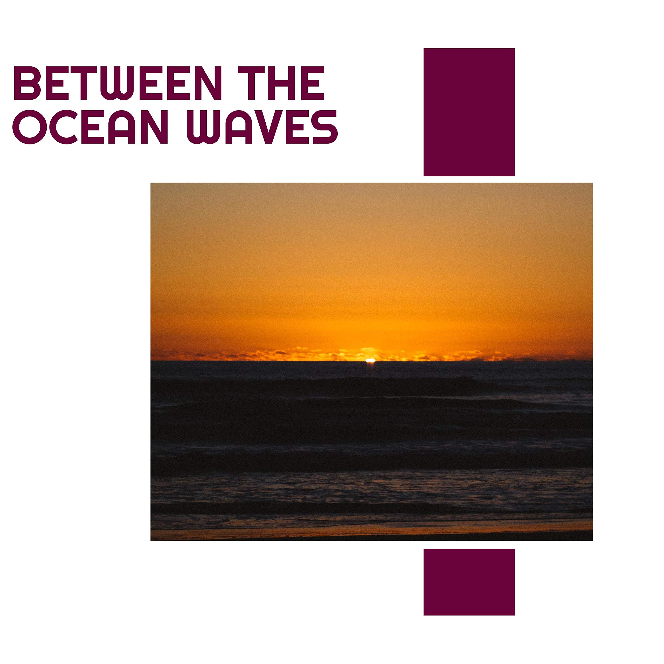 Jennifers Joyful Nature Oceans