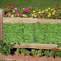 Vista 6 de Generic Valla de pared de plantas verdes, pantalla de privacidad de hiedra artificial, ampliable, para balcón, patio, exterior, decorativo, hiedra