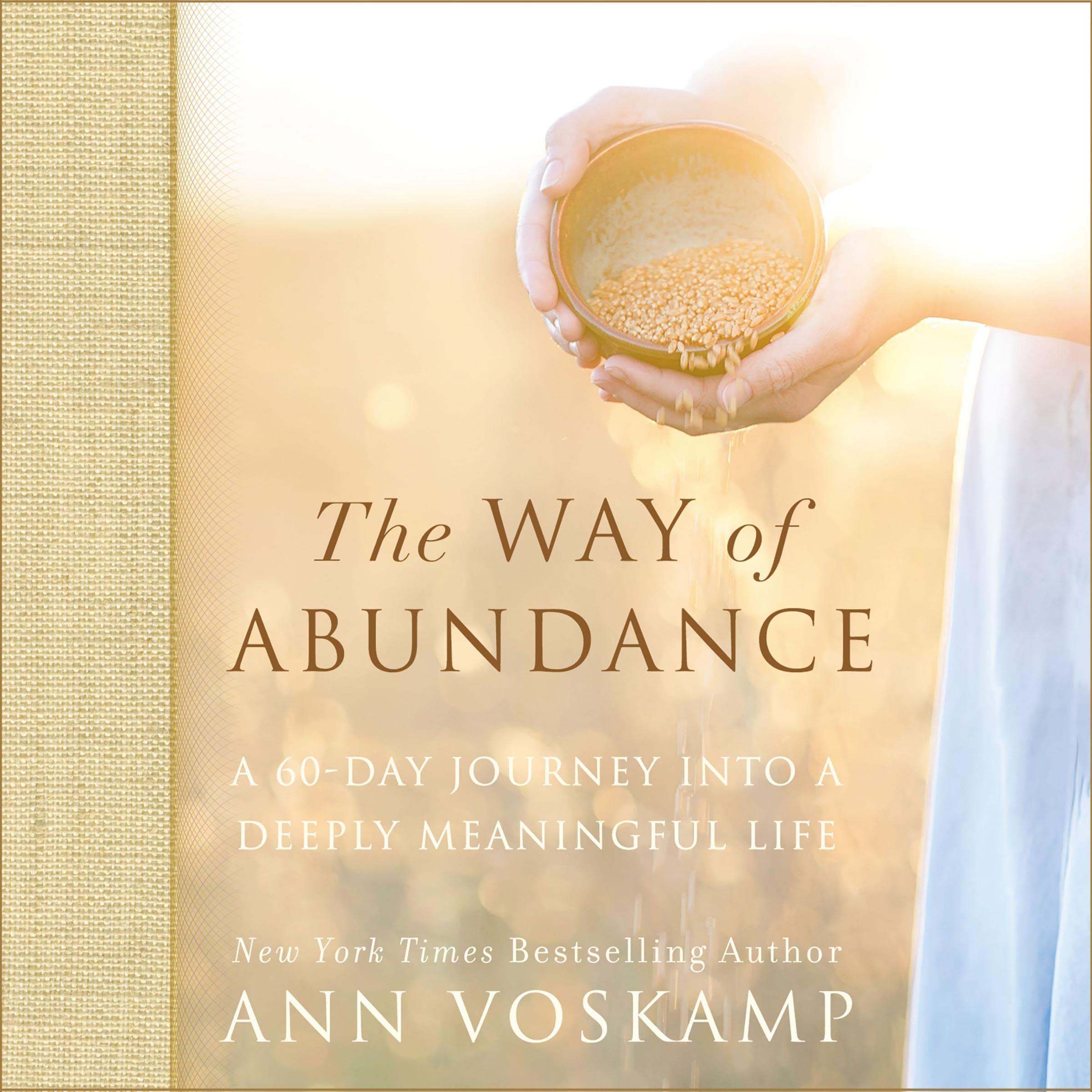 Cover art for The Way of Abundance