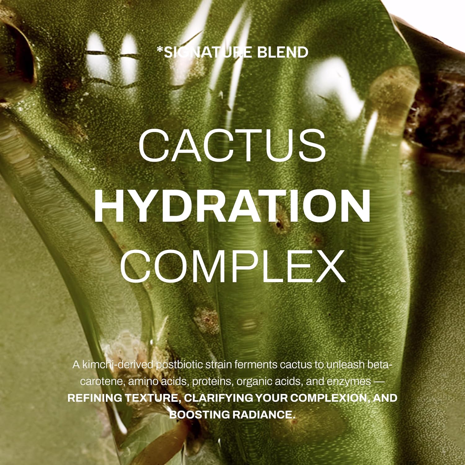 Whamisa Organic Cactus Bouncy Serum, 48 hrs Inner Skin Moisture, 72 hrs Hydrating and Moisturizing, Fermented Ingredient Formula, Facial Ampoule, Korean Skin Care (52ml) - Image 8