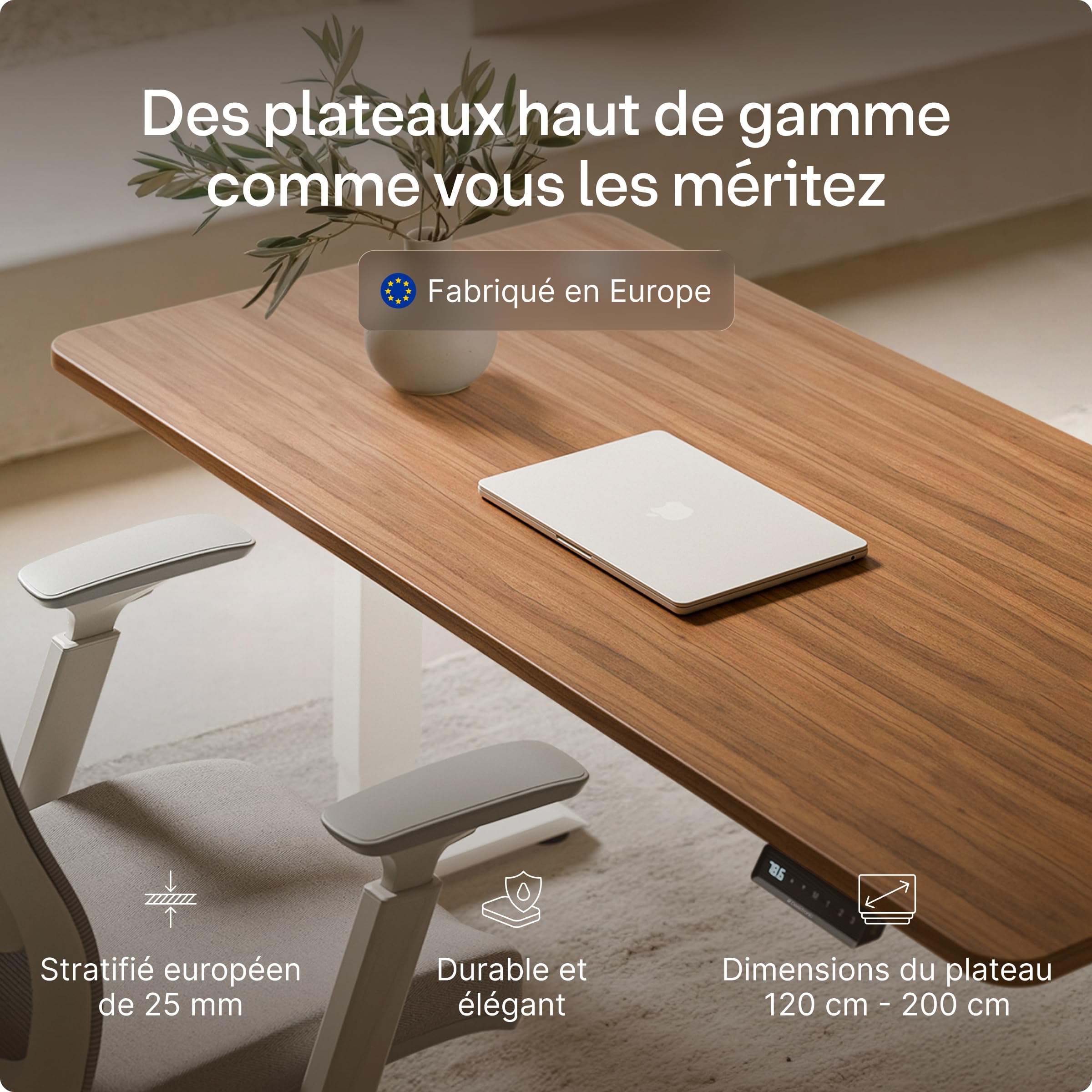 Desktronic Bureau Assis Debout Électrique 160x80 cm – Double Moteur Silencieux, Stabilité Renforcée, Réglable en Hauteur, Mémoire, USB-C HomePro