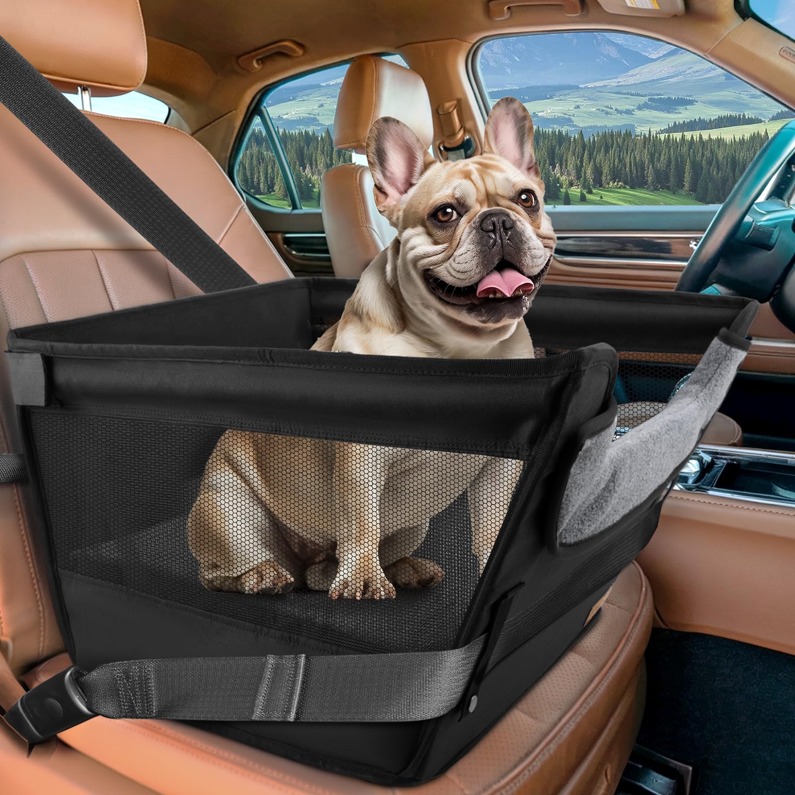 Photo 1 of BONTHEE Elevated Dog Car Booster Seat for Dogs & Cats up to 35LB, 6-Inch Memory Foam Pet Booster Seat, Side Breathable Mesh,Portable Travel-Safe Bed for Cars,Elevated Car Seat for Small Medium Dogs