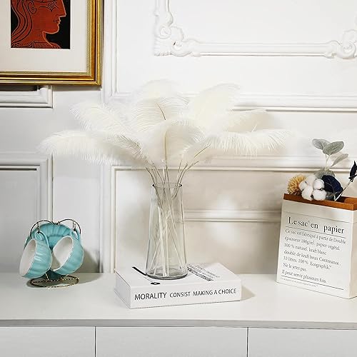 Miniatura 6 de Holmgren Plumas de avestruz beige a granel  Kit de fabricación de 20 piezas de plumas de avestruz boho de 22 pulgadas para jarrón, arreglo floral,