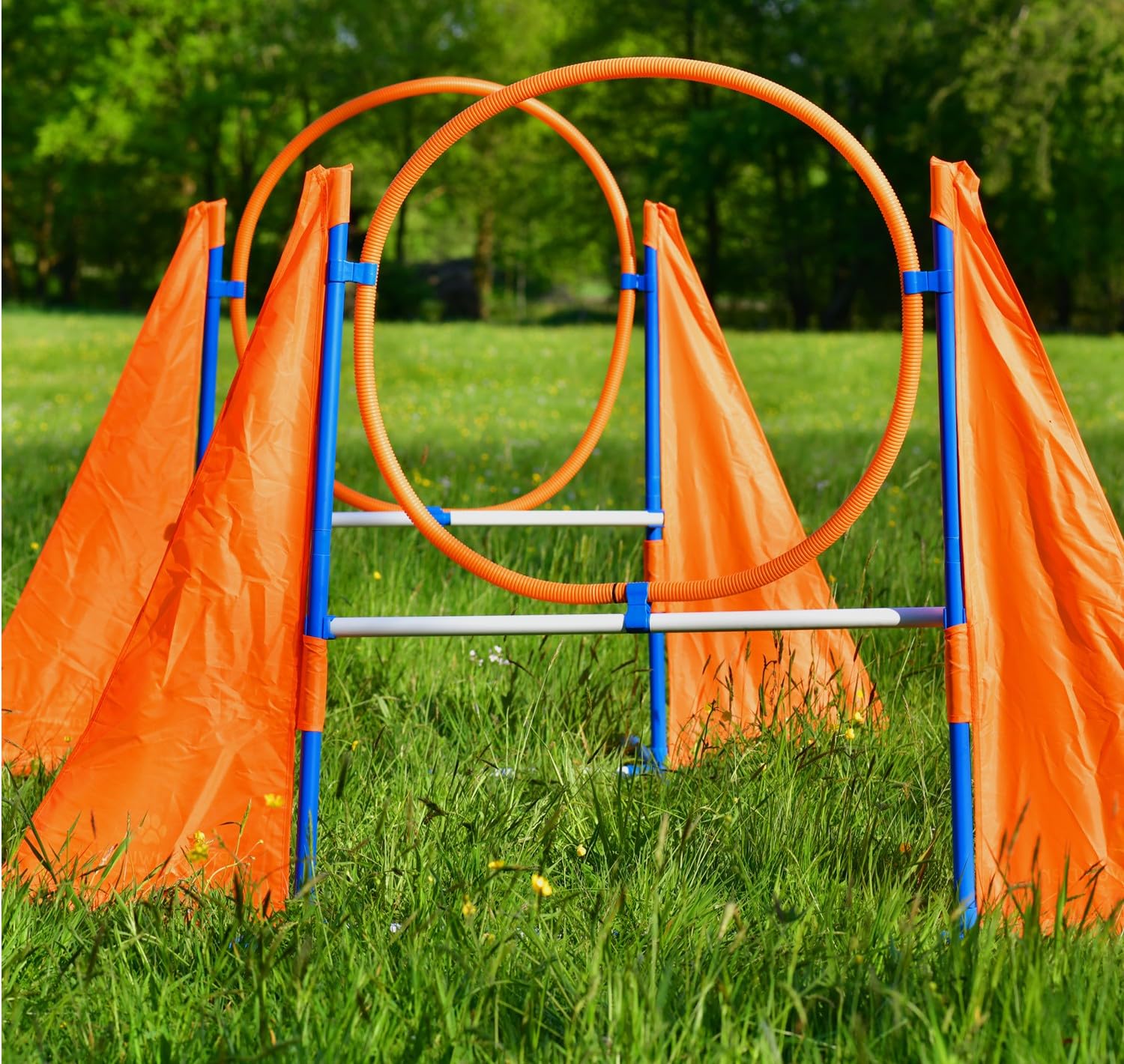 PfotenWunder® 2X-Profi-Agility-Hürde, Agility-Hürden-Set groß, für kleine & große Hunde-Training Sport Parcour Zubehör Hürden Sprungring Sprunghürde