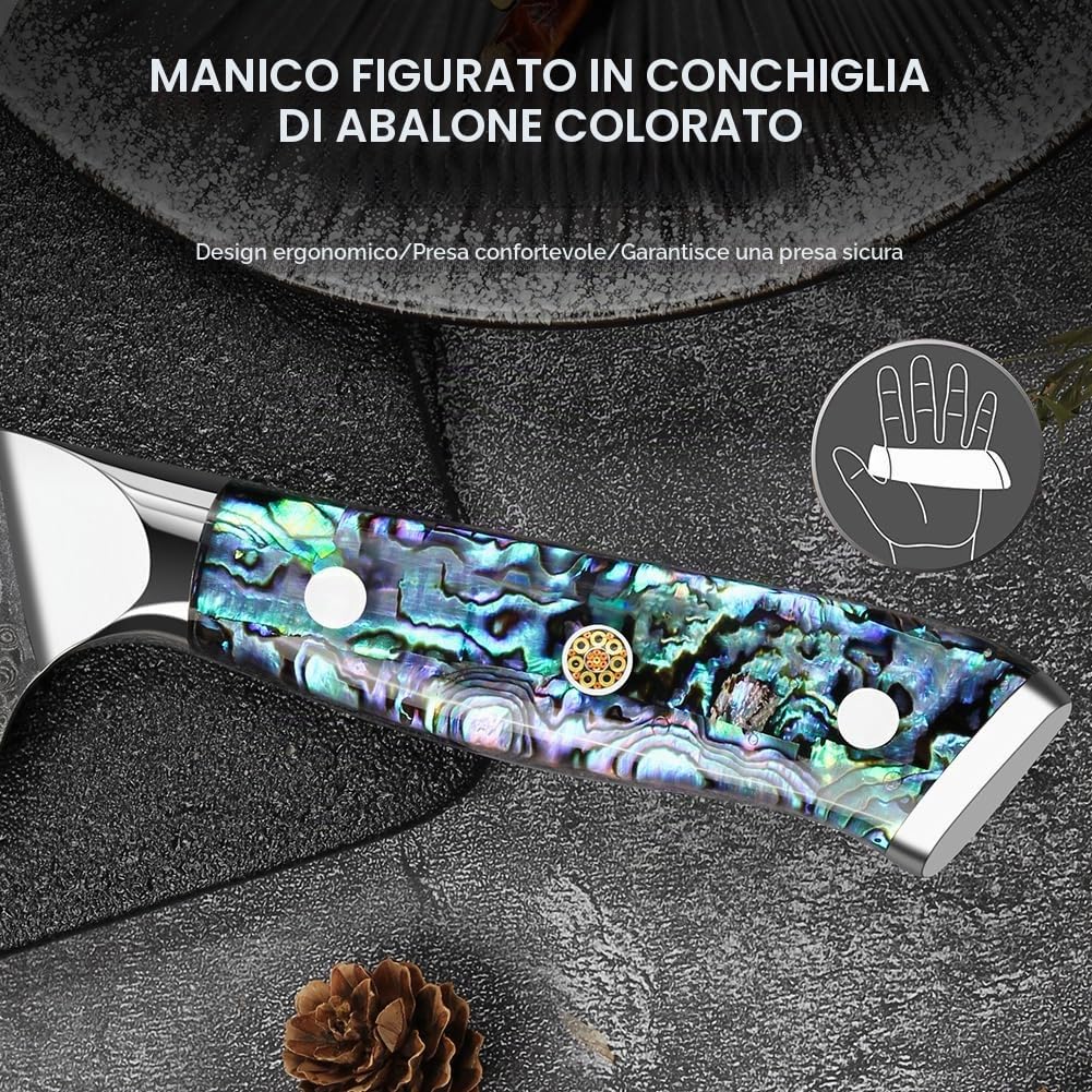 Home Safety Coltello Damasco da Chef con Lama Estremamente Affilata da 20 cm in 67 Strati di Acciaio Damasco VG-10 Coltello da Cucina Damasco da Carne, Manico in Abalone, Confezione Regalo
