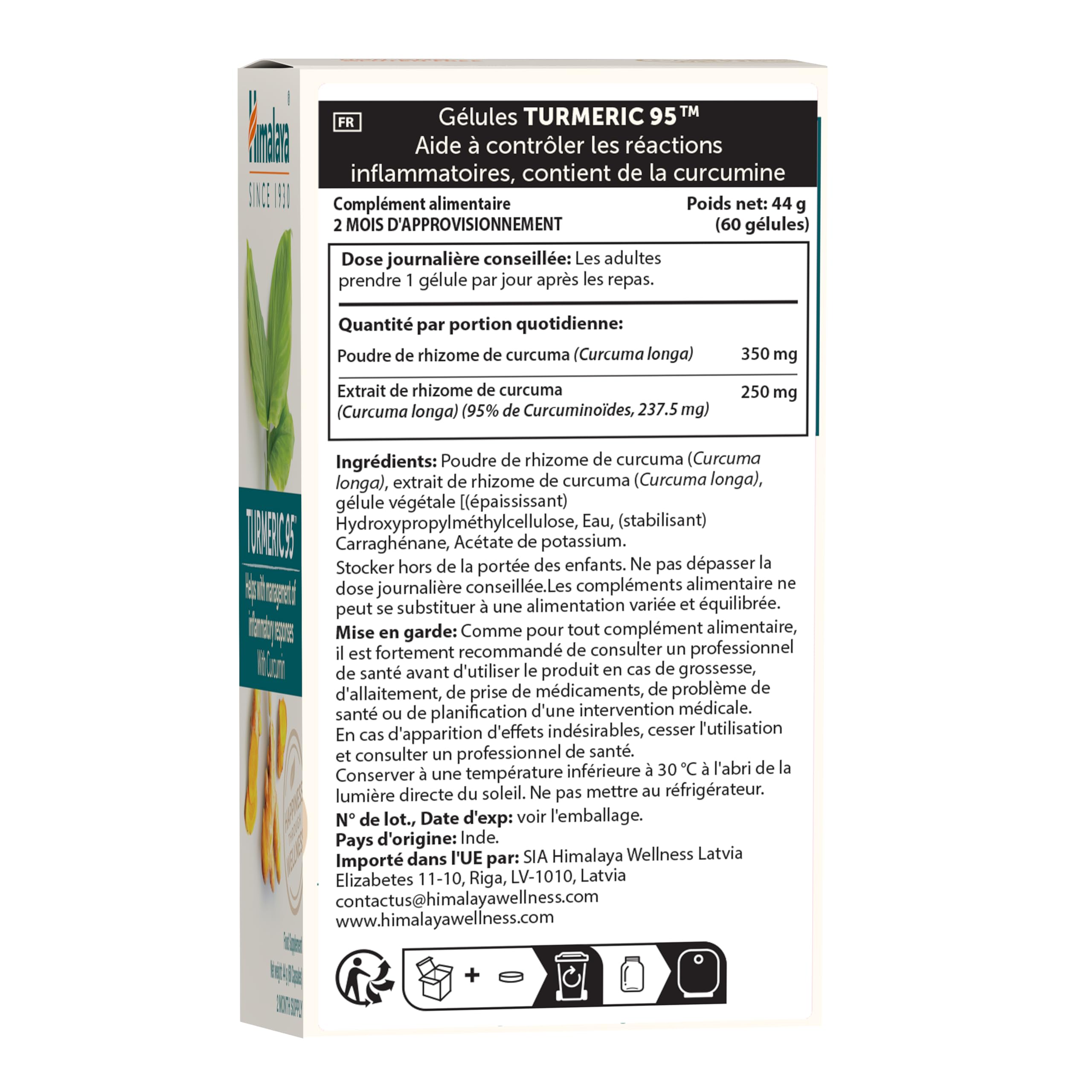Himalaya Curcuma 95 Supplément avec curcumine/curcuminoïdes, soutient le système immunitaire, résistance aux allergies, 600 mg, végétalien, sans gluten, 60 capsules