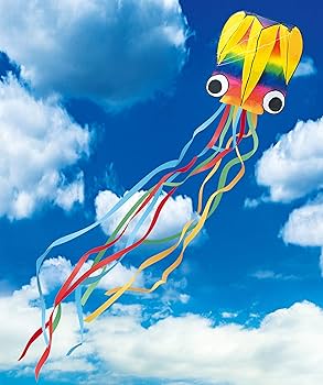 Amazon.co.jp: 池田工業社 凧 カイト 3Dカイト 虹色タコちゃん