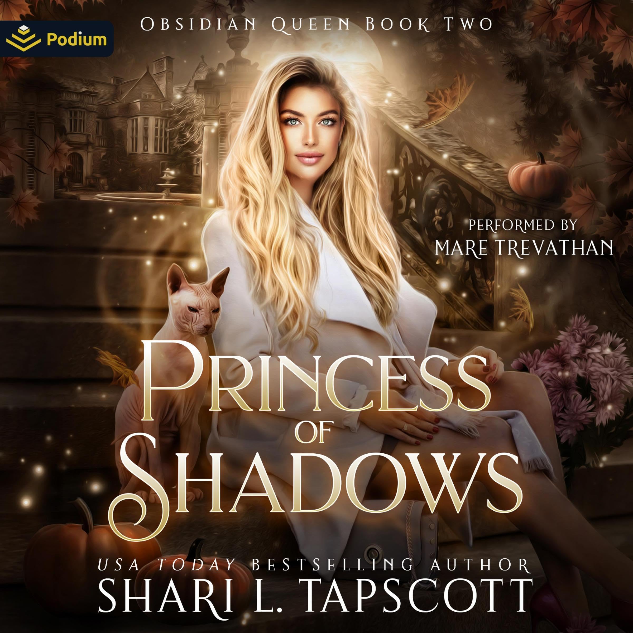 Cover art for Princess of Shadows