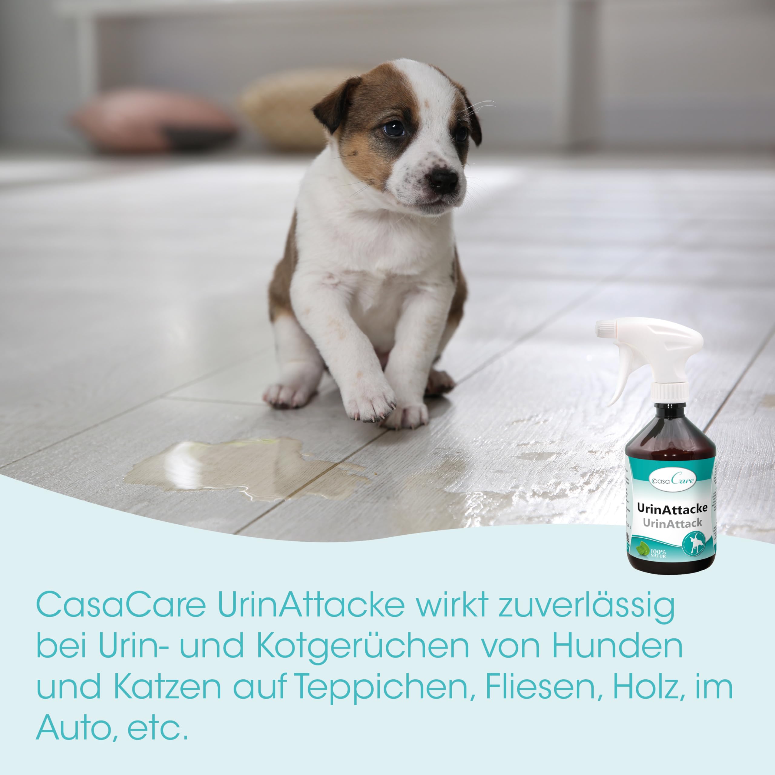 cdVet Naturprodukte casaCare UrineAttack Butelka z rozpylaczem, 500 ml, pies, kot, mocz, nieprzyjemny zapach, nieszkodliwe użytkowanie, zapobieganie, leczenie, oszczędność, natychmiastowy +
