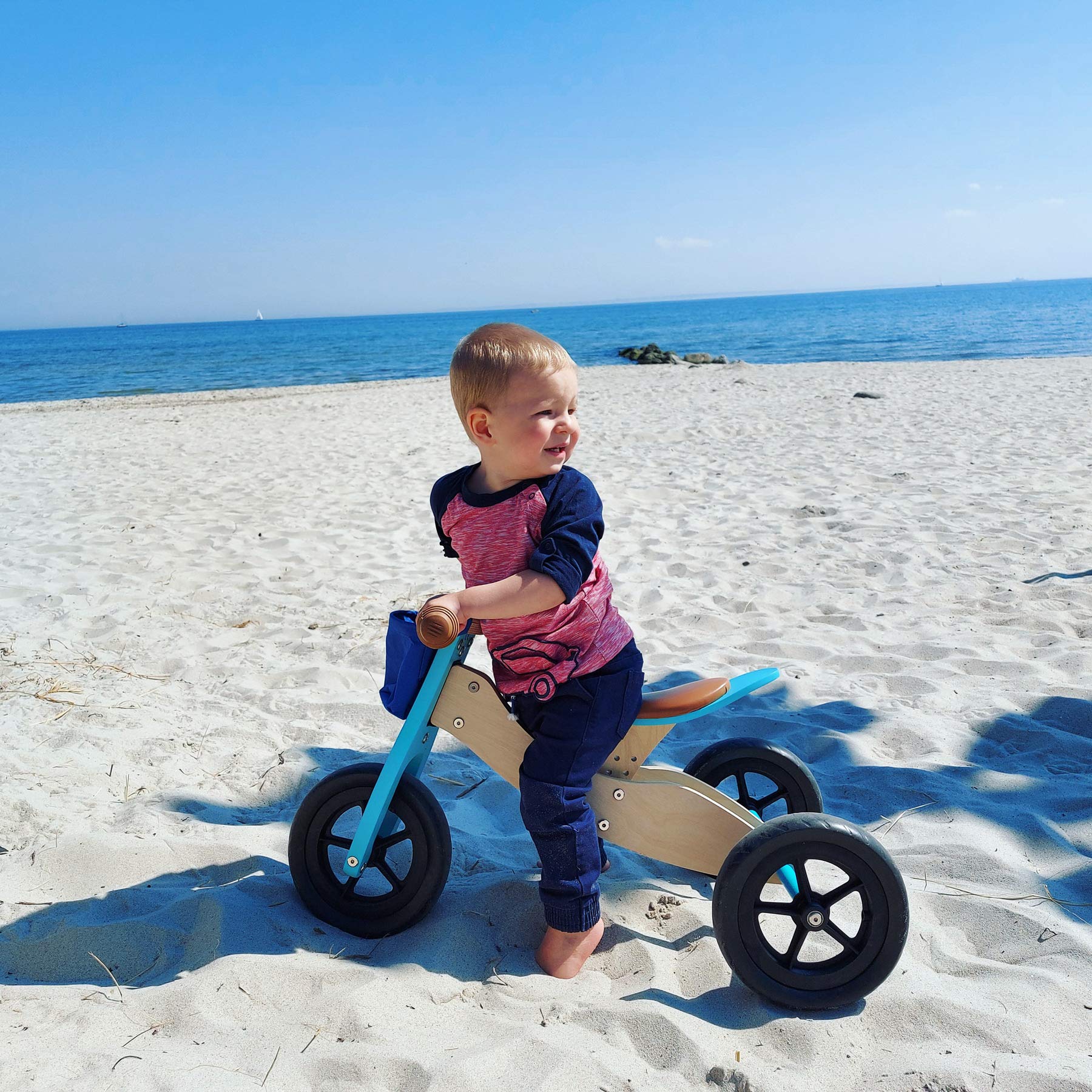 small foot Laufrad-Trike Maxi 2 in 1 Türkis aus Holz, Drei- und Laufrad, verstellbarer Sitz und gummierte Reifen, 11609