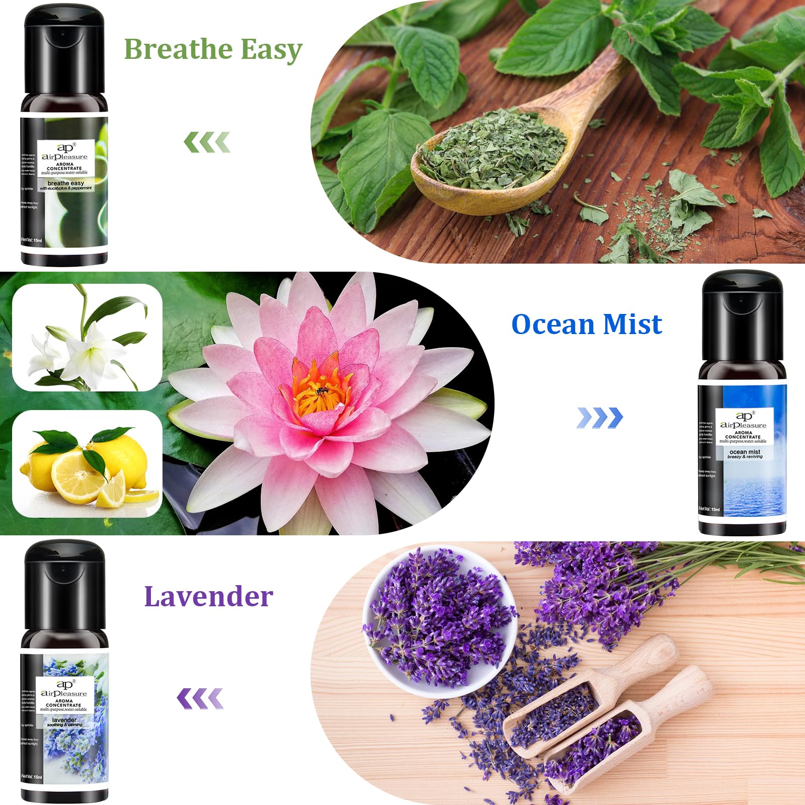 Aceites esenciales Reborn Aroma Oils Multifunción Blends Set de regalo Aceites para difusor de aromaterapia, humidificador, aceites aromáticos naturales, 6 botellas, 0.5 fl oz 4