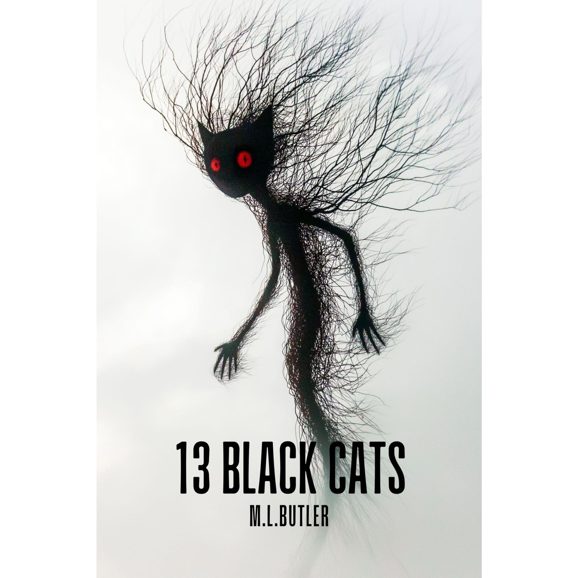 13 Black Cats