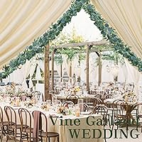 Vista 12 de Mizii 2 Strands Artificial Maples Vines Garland 79" Fake Vine Silk Maple Leaves Faux Hanging Fall Garland for Fall Decor Thanksgiving Porch Mantle