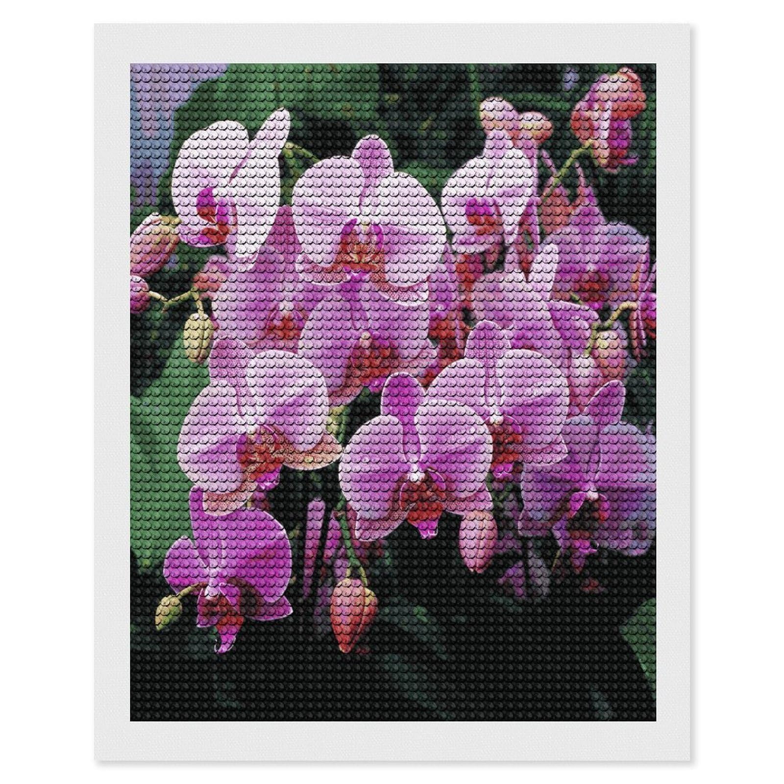 JTREHY Orchids Diamond Art Kits Personalized DIY Round Diamond Painting Kits for Beginner Full Drill Diamonds Dots Paintings for Adults Gem Art Crafts Home Decor