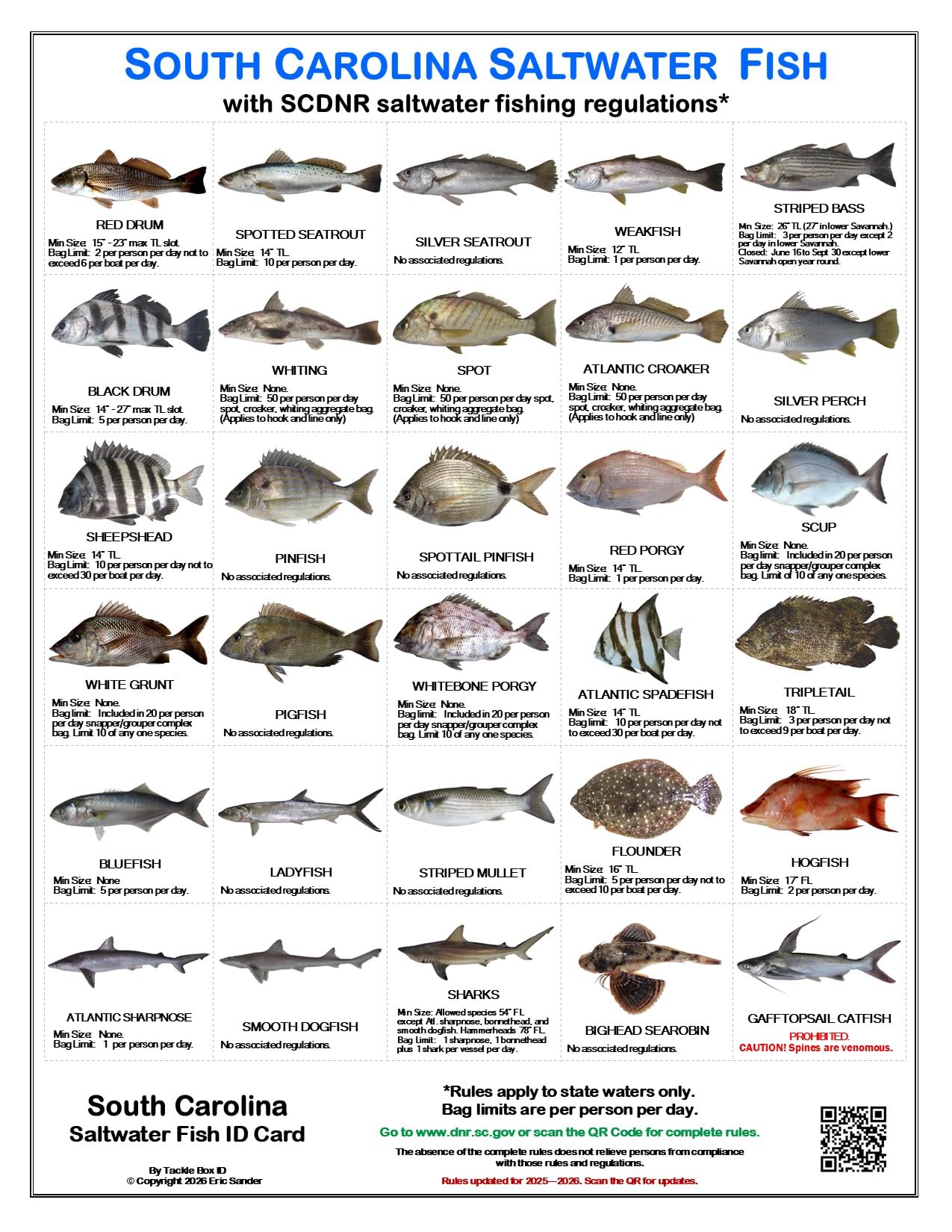 carolina fish box Tackle I.D. South Saltwater Identification Card Set of 3 Waterproof Cards Showing 60 Common Fish and 17 Sharks in True-to-Life Photographs with SCDNR Rules : Sports & Outdoors Hooks to Nylon - Color:Green Hornet Made of flexible material t shirt yarn