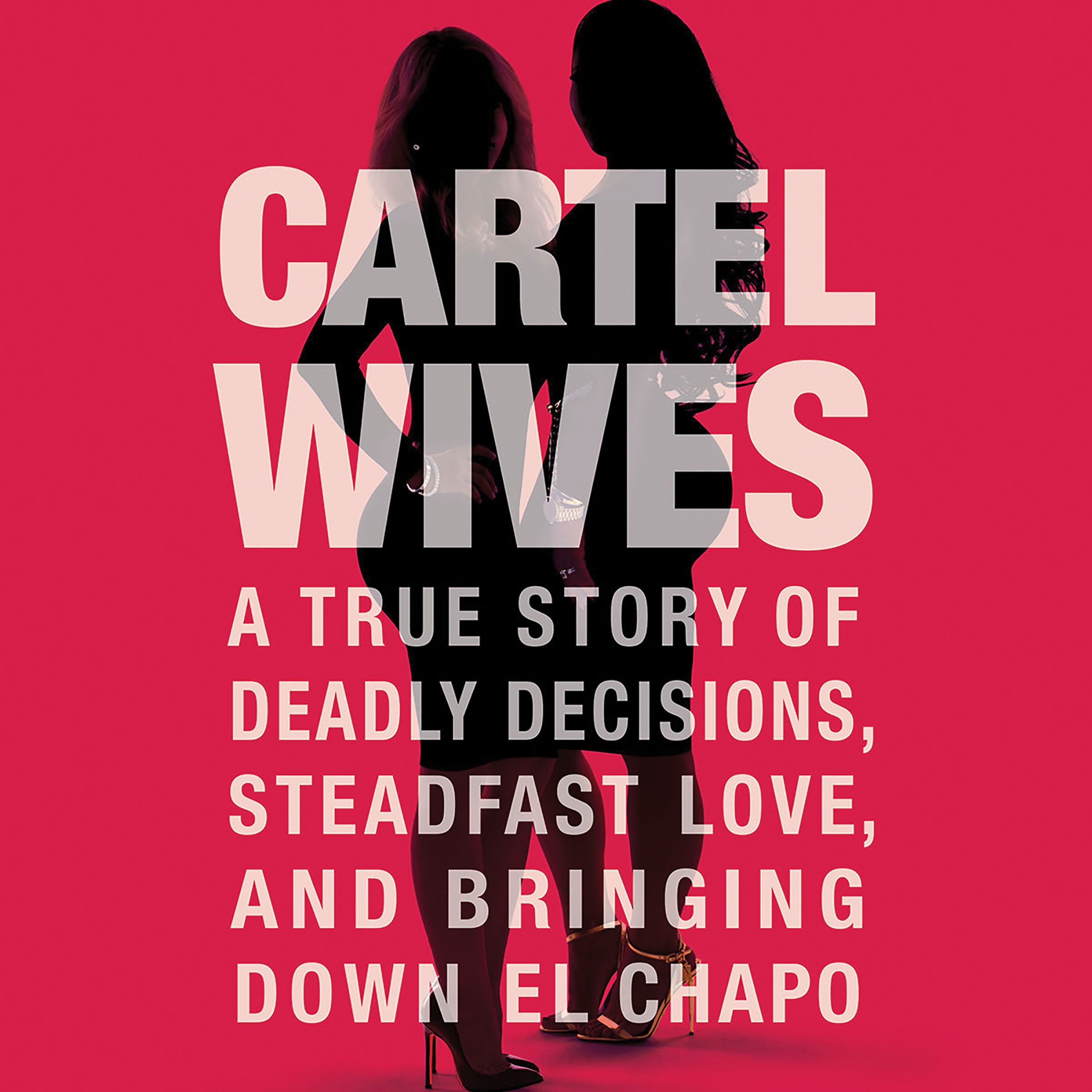 Cover art for Cartel Wives