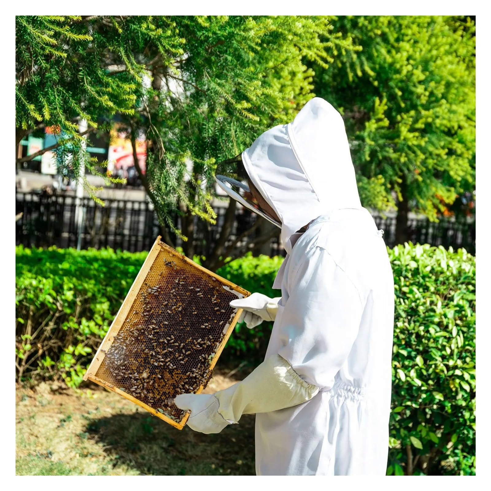 Professional Protective Clothing Full Body Beekeeping Clothes Protection with Sheepskin Gloves(XXL)