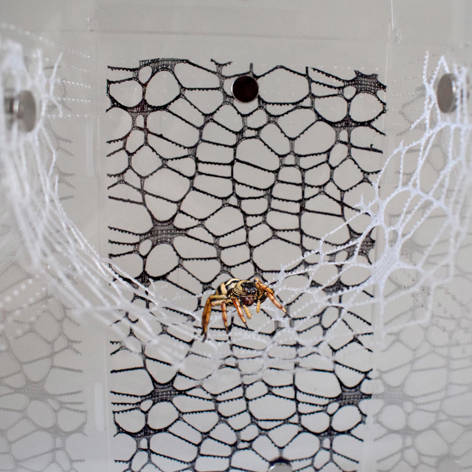 Jumping Spider Accessories, 4 PCS Climbing Web Decor with 8 Magnets