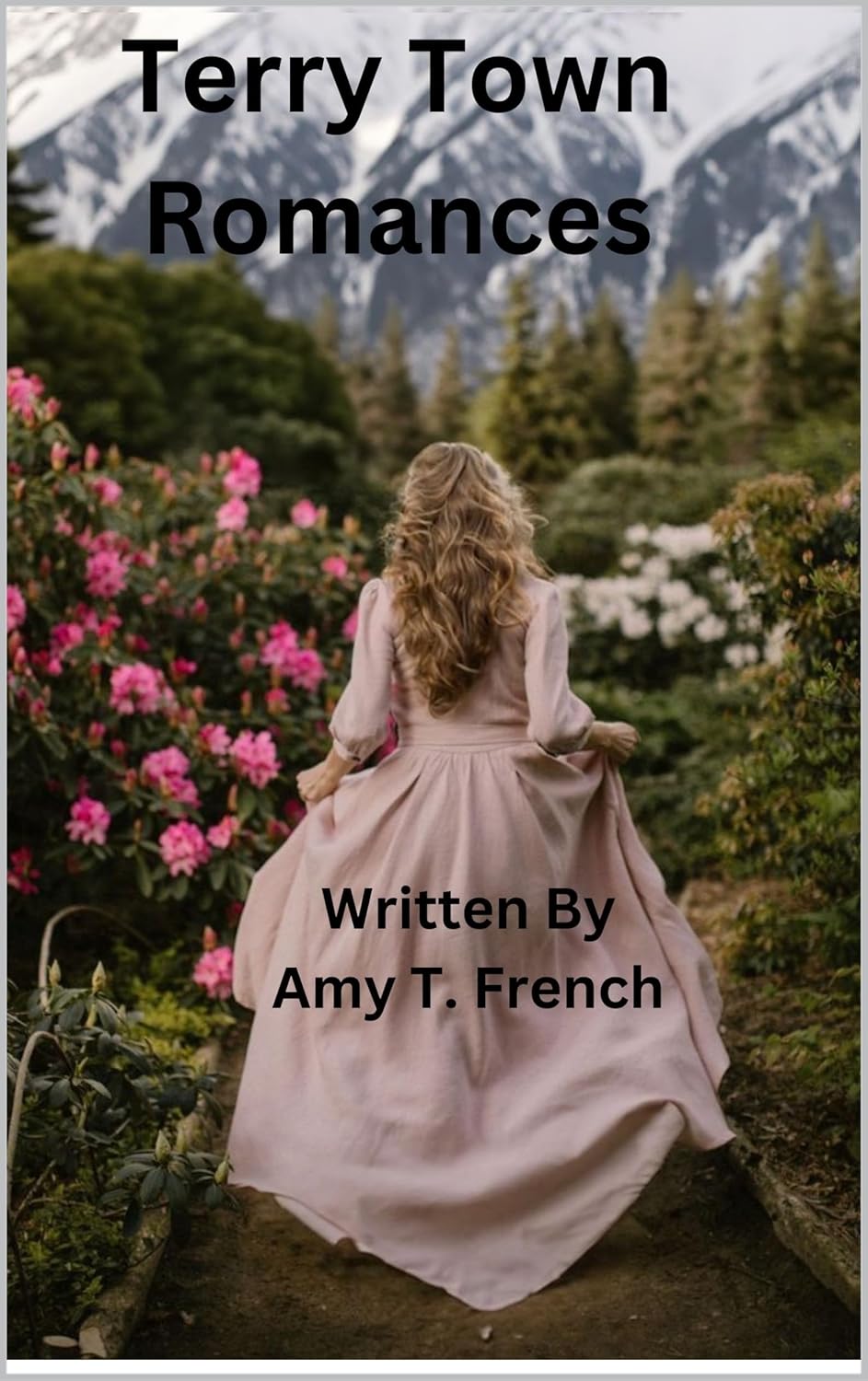 Terry Town Romance: 2nd Edition (Terry Town Mail Order Bride Series)      Kindle Edition