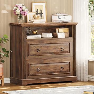 Itaar 2 Drawer File Cabinet, Farmhouse Filing Cabinet for Home Office Fits Letter, Legal, A4 Size, Wood Lateral File Cabinet with Printer Stand, Storage Shelf, Brown