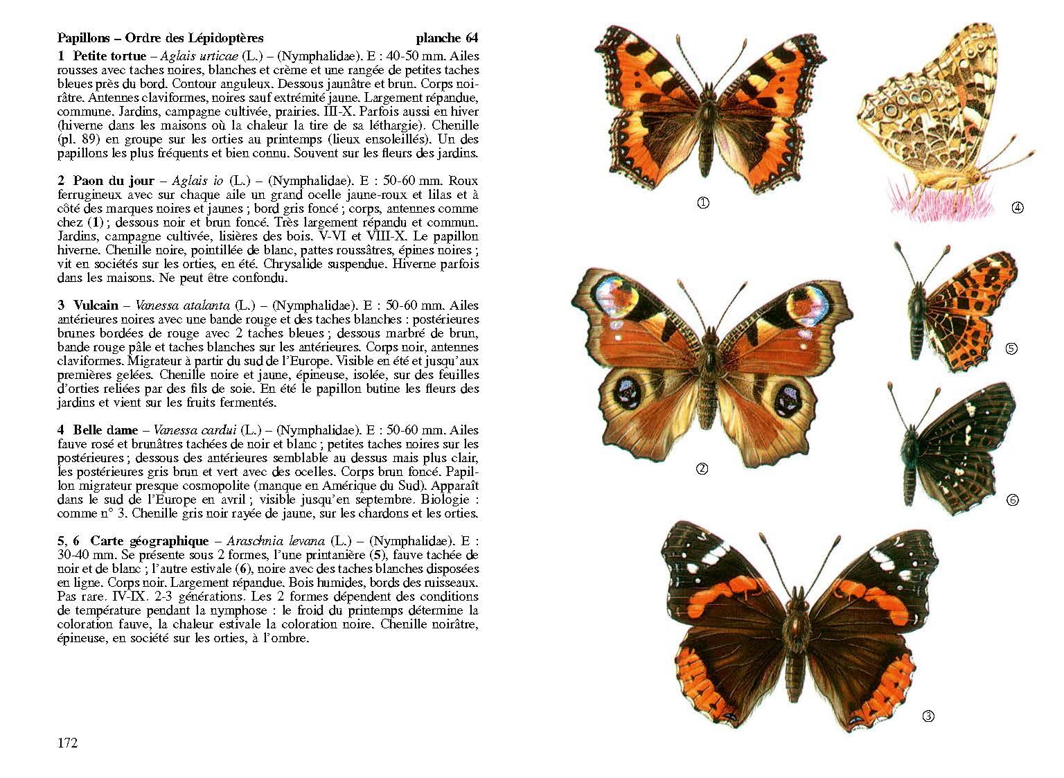 Insectes de France et d'Europe