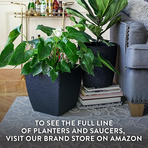 Miniatura 8 de The HC Companies Santa Fe - Maceta cuadrada de riego automático, maceta de plástico ligera para hierbas y más, macetas duraderas para plantas de