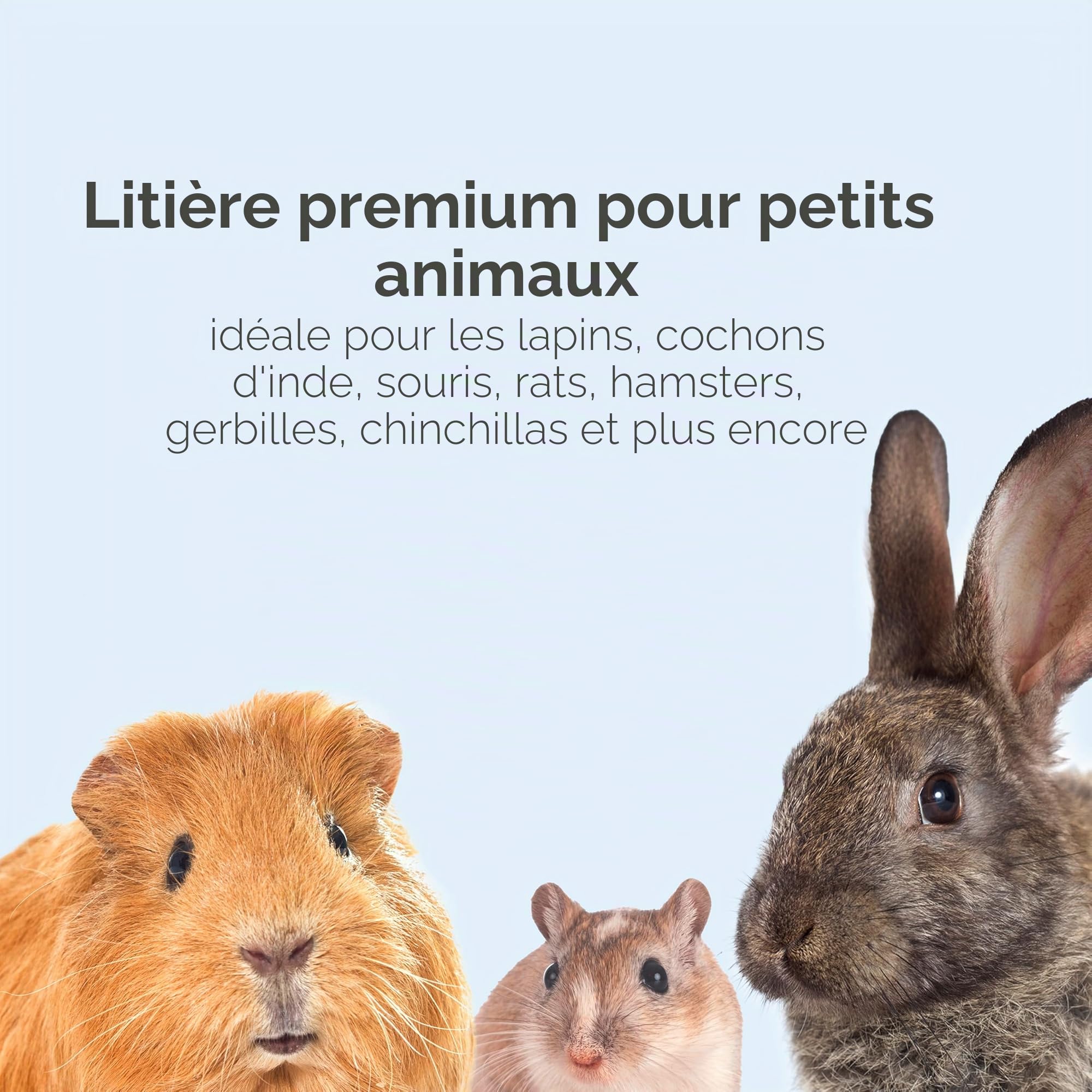 Kaytee Clean & Cozy : litière en papier, super absorbante