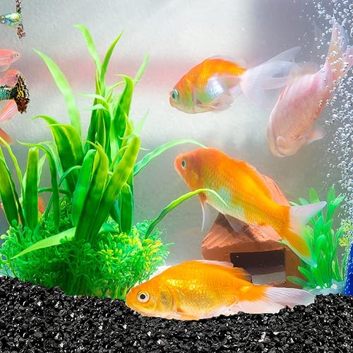 Miniatura 5 de Piedra de arena gruesa negra natural de 1.5 libras, decoración de pecera, grava negra, grava para acuario, relleno de florero, decoración de