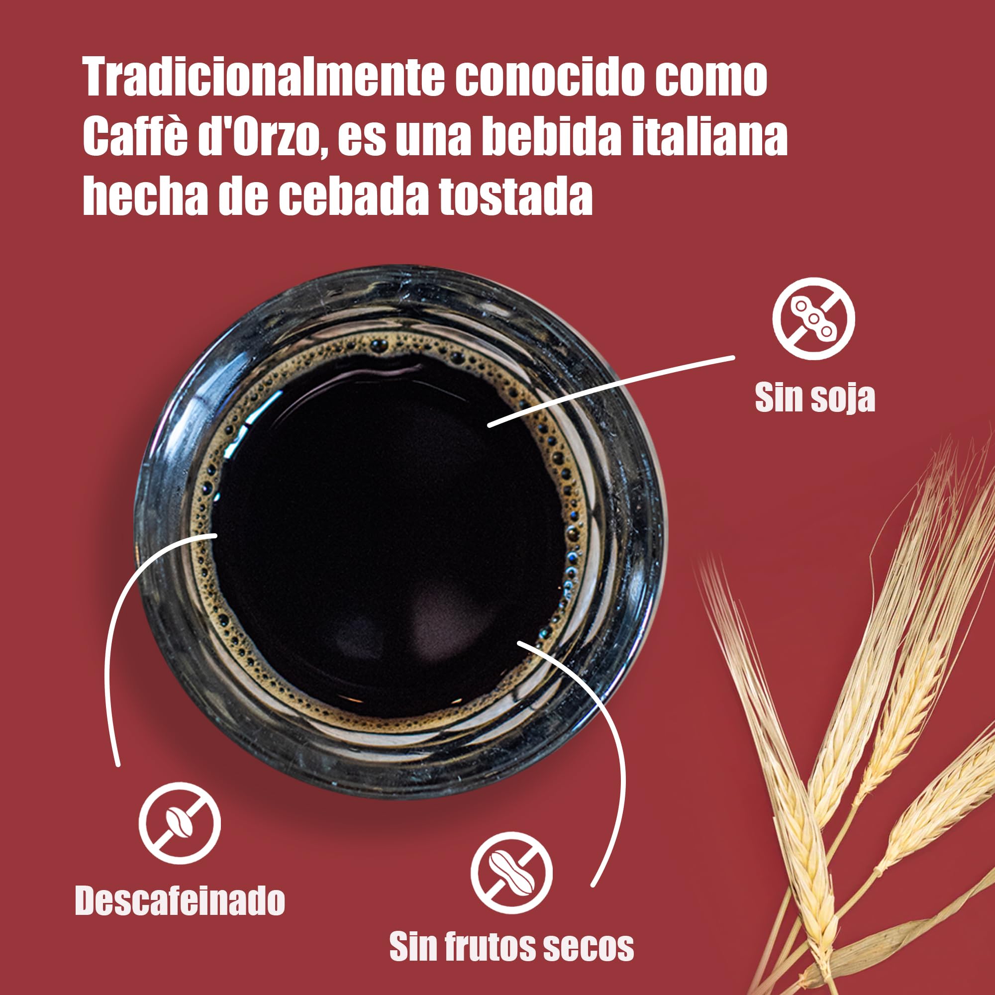 Chikko Not Coffee BIO Cebada Café Instantáneo 150g - Café de cebada tostada - Alternativa al café descafeinado - Sin aditivos ni productos químicos - 100% Producto europeo