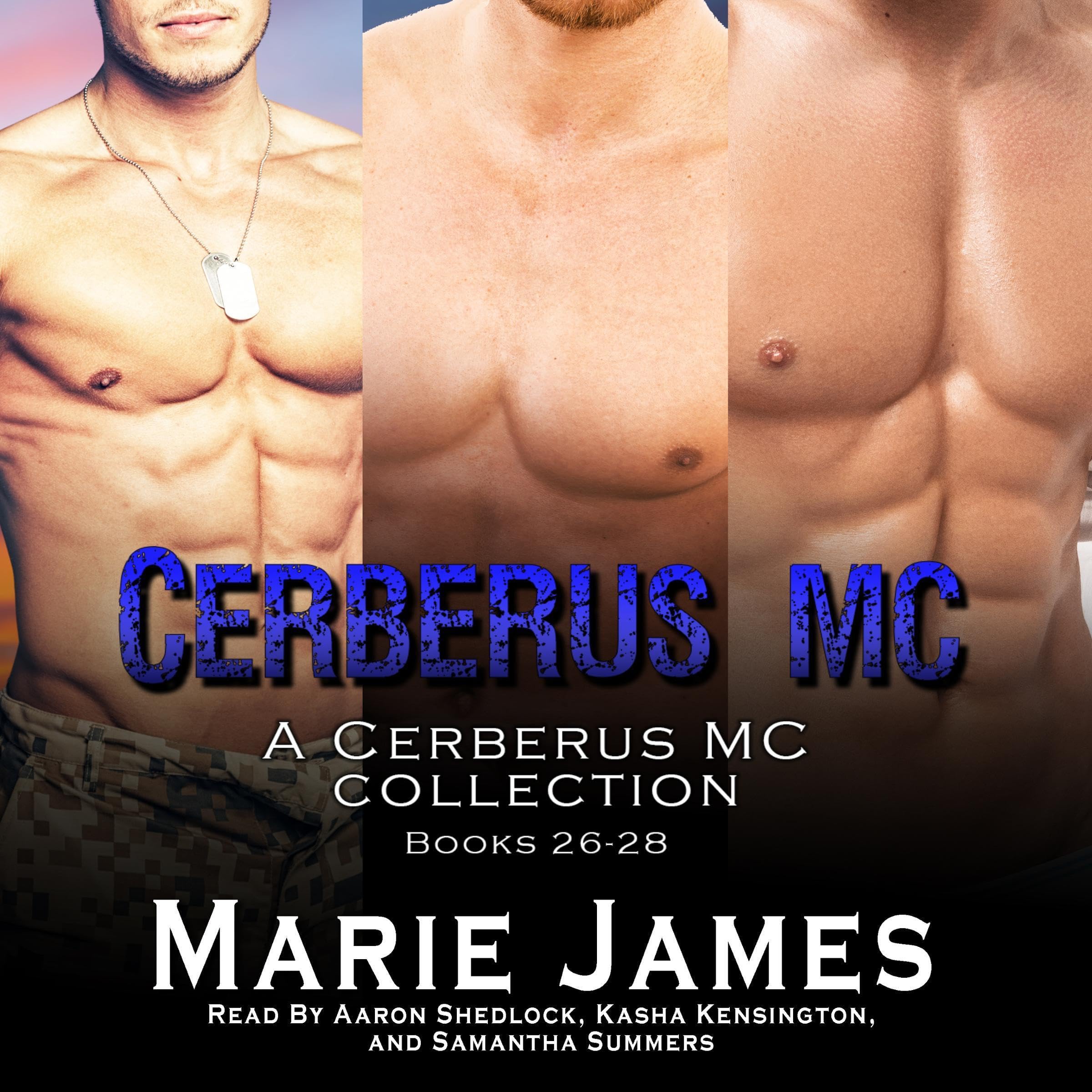 Cover art for Cerberus MC Box Set 8