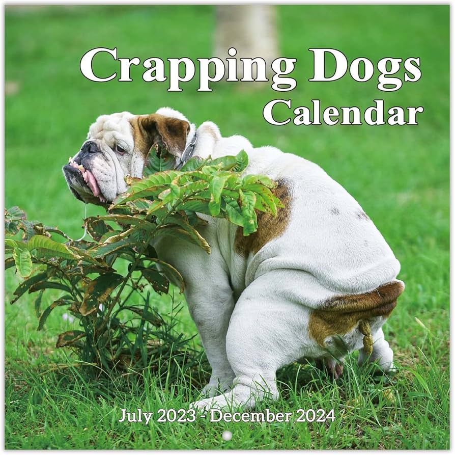 Amazon.com: 2023-2024 Wall Calendar – 18 Monthly Pooping Dogs Calendar 2023-2024, Jul 2023 - Dec 2024, Funny Dog Calendar Gag Gifts, 11.8 amazon-com-2023-2024-wall-calendar-18-monthly-pooping-dogs-calendar-2023-2024-jul-2023-dec-2024-funny-dog-calendar-gag-gifts-11-8-x-23-6-open-11-8-x-11-8-closed-perfect-white-elephant-gift-funny-office-products
