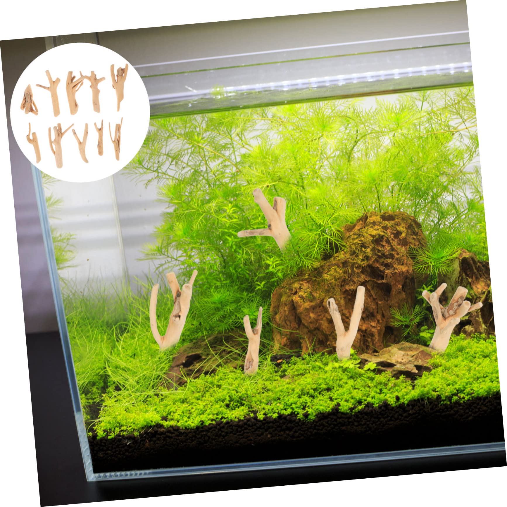Abaodam 10pcs Decoration Freshwater Fish Tank Aquarium Decor Driftwood Coral Branch Aquariums Natural Coral Tank Aquarium Cave Aquarium Sand Aquarium Decorations Real Log Khaki