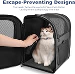 Apollo Walker Pet Sac à dos de transporteur pour 4-15lb Chats et chiens, chiots, caractéristiques de sécurité et soutien au dos de coussin