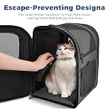 Apollo Walker Cat Carrier i Dog Carrier, Dla Dużych i Małych Kotów (2-15 kg), Oddychający Siatkowy Transporter Dla Zwierząt, Idealny na Wędrówki, Podróże i Zajęcia na świeżym Powietrzu(szara)