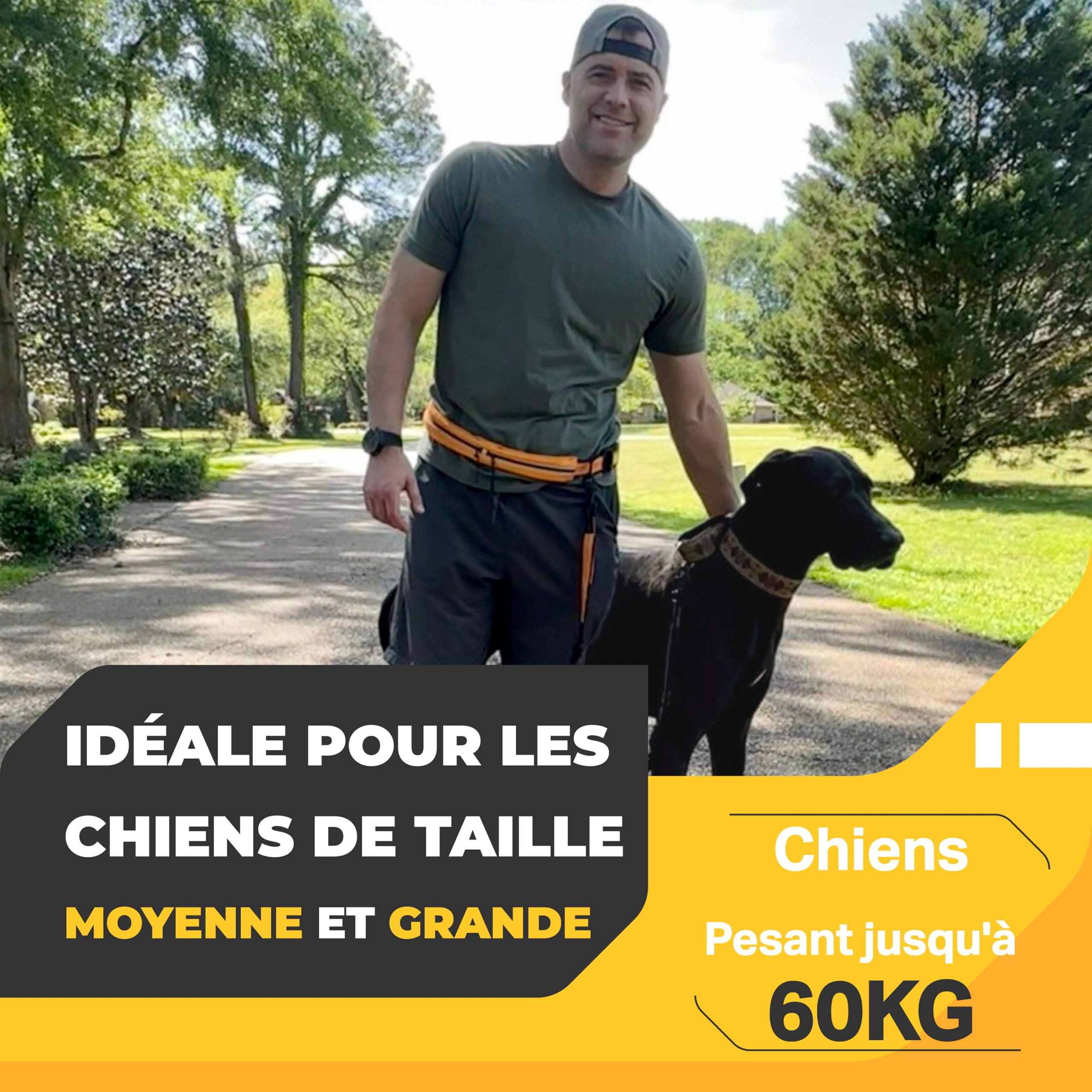 Barkswell Laisse Canicross Chien - Baudrier Canicross - Ceinture Canicross - Laisse Main Libre