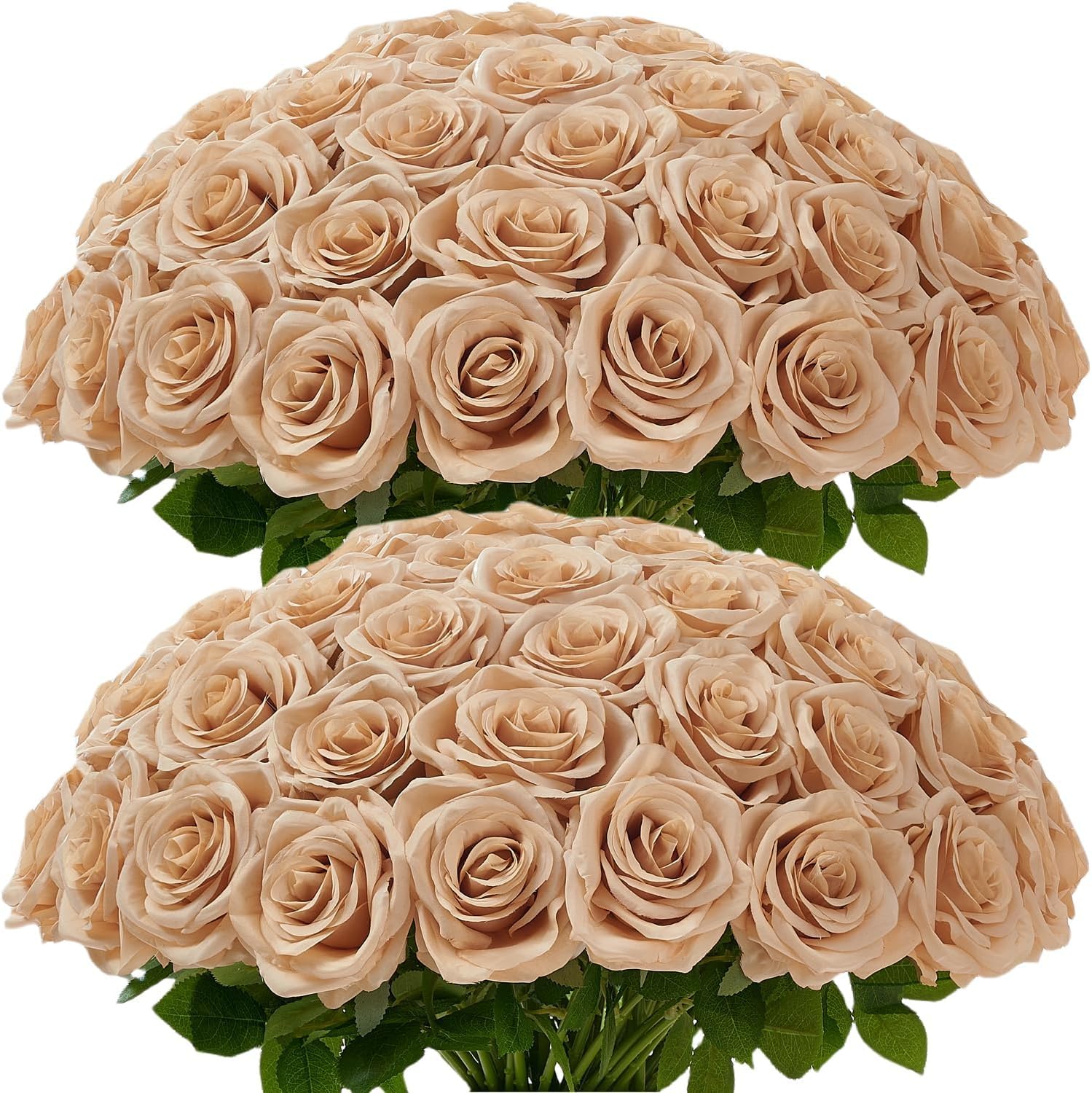 Photo 1 of LATRORA 100 Pcs Artificial Silk Beige Roses