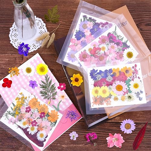 Miniatura 7 de 140 piezas de flores secas prensadas para resina, flores prensadas reales, hojas secas, kit de hierbas naturales a granel para álbumes de recortes,