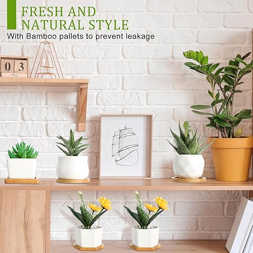 Miniatura 6 de 32 juegos de macetas para suculentas, macetas pequeñas para suculentas con drenaje de cerámica, maceta de cerámica con bandeja de bambú para