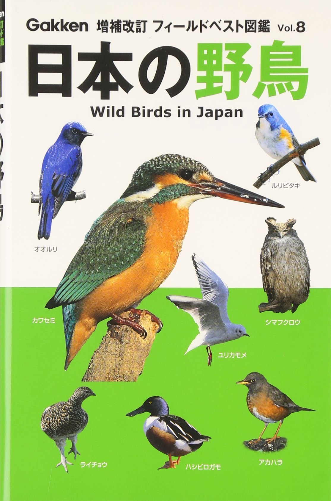 日本の野鳥セット　ペーパーブック版 日本の野鳥セット ペーパーブック版 Amazon.co.jp: 復刊・薮内