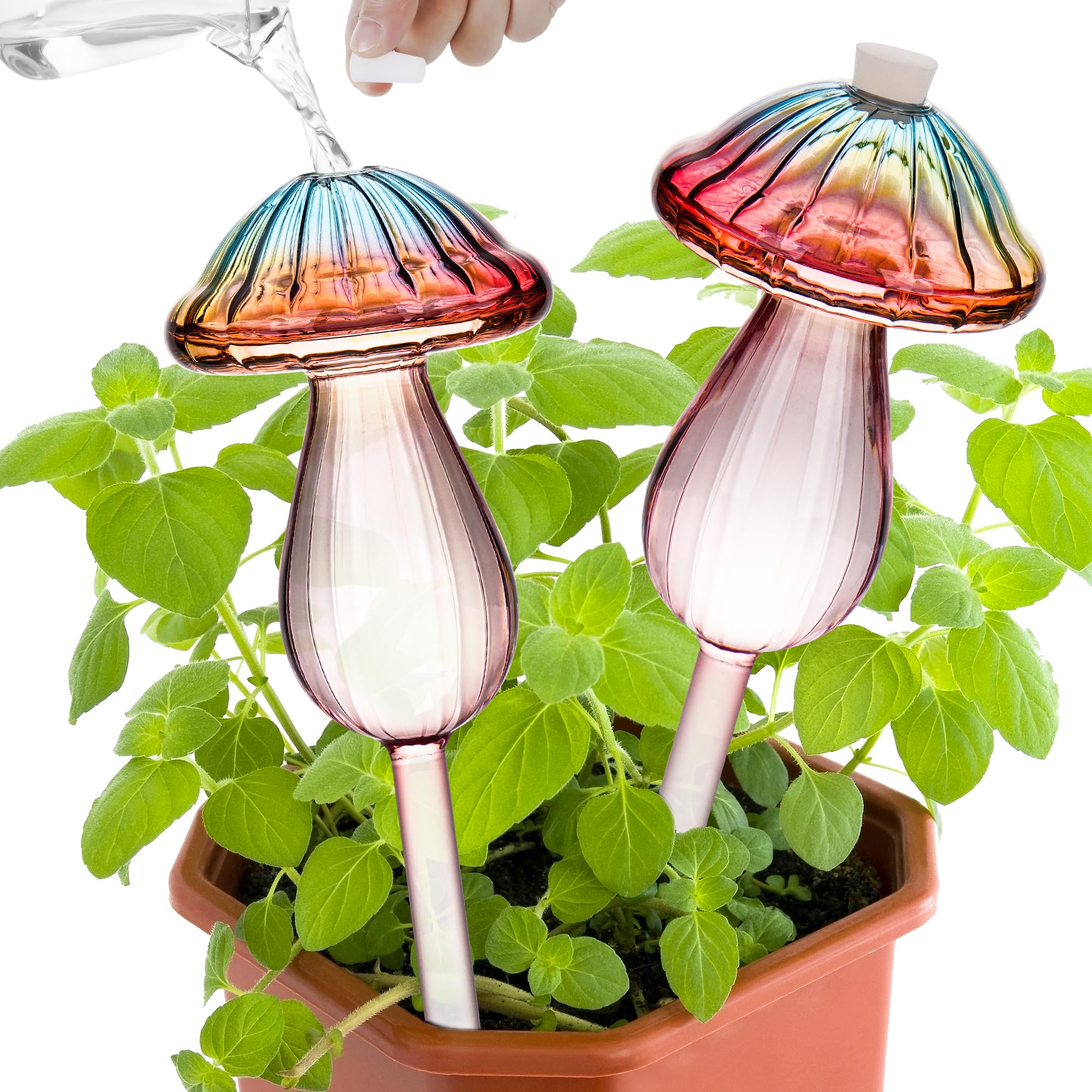 Amazon.com: Plant Watering Globes Mushroom, Rainbow Gradient Color Plant  Watering Devices, Self Watering Planter Insert, Self Watering Globes -  Watering Bulbs for Indoor Plants for Travel Vacation (2 PCS) : Patio, Lawn