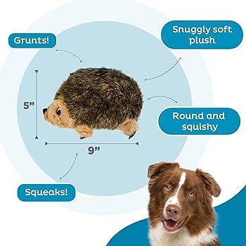 Amazon.com: Outward Hound, Hedgehogz Plush Dog Toy, Medium