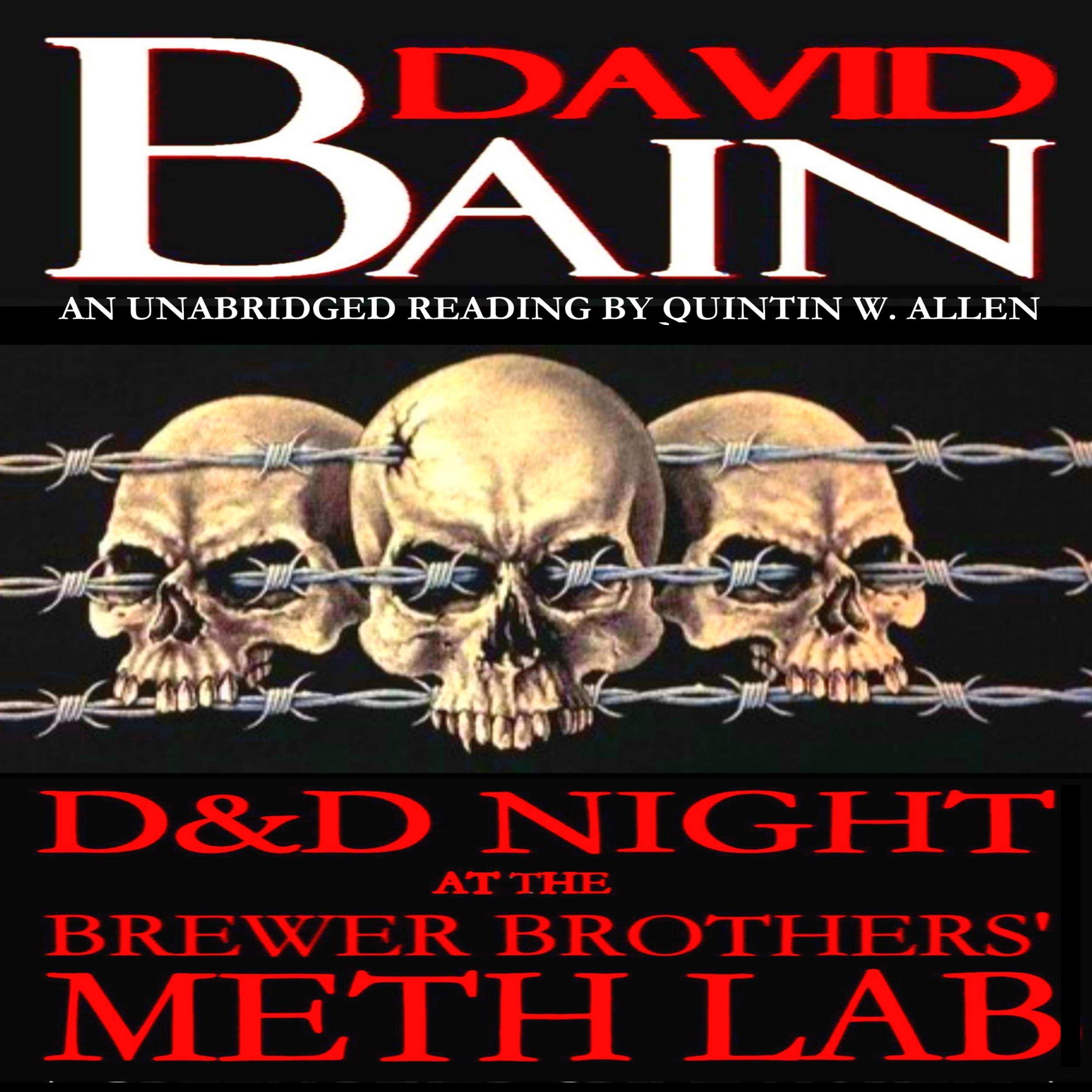 Cover art for D&D Night at the Brewer Brothers' Meth Lab